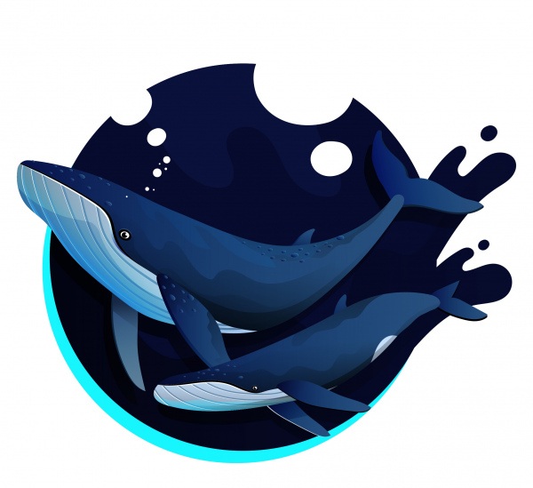 Contact Vector